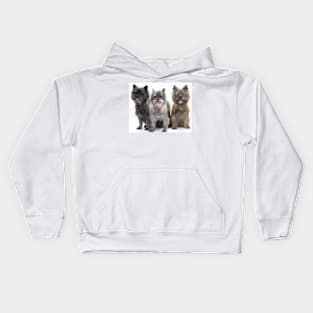 Three Cairn Terriers Kids Hoodie